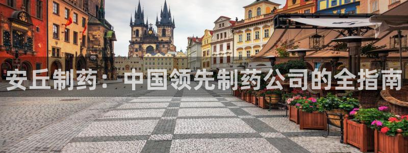 九游老哥俱乐部官网登录：安丘制药：中国领先制药公司的全指南