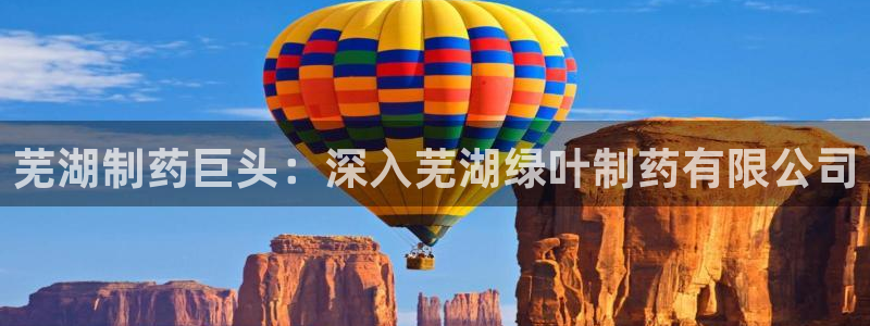 九游会老哥：芜湖制药巨头：深入芜湖绿叶制药有限公司