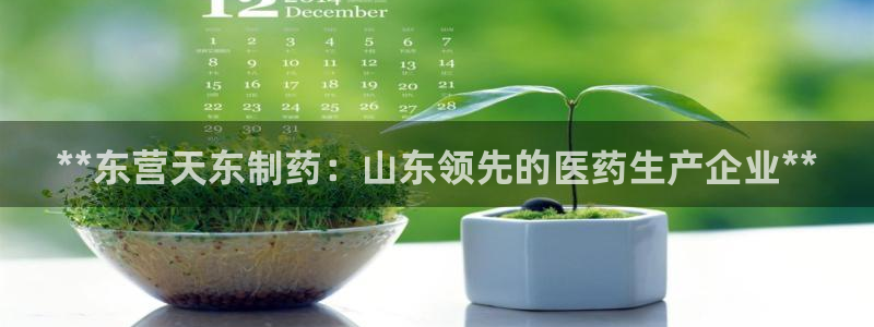 九游会老哥俱乐部官网首页：**东营天东制药：山东领先的医药生产企业**
