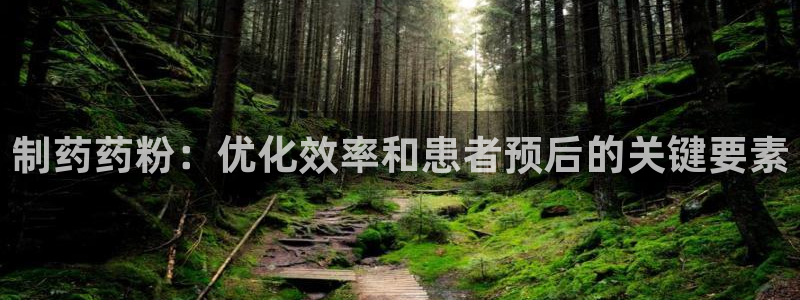 九游会老哥俱乐部官网首页：制药药粉：优化效率和患者预后的关键要素