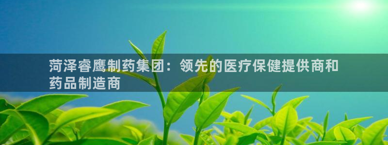 老哥吧九游会：菏泽睿鹰制药集团：领先的医疗保健提供商和
药品制造商