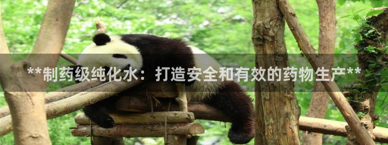 老哥吧九游会下架吗：**制药级纯化水：打造安全和有效的药物生产**