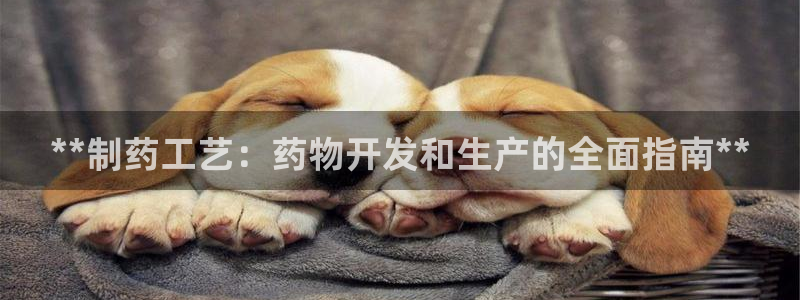 ag九游会老哥俱乐部：**制药工艺：药物开发和生产的全面指南**