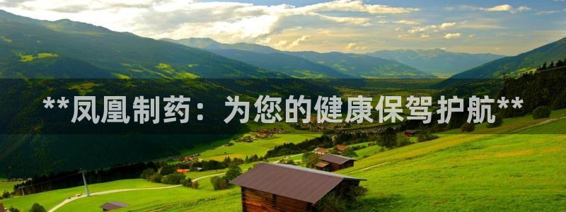 ag九游会老哥：**凤凰制药：为您的健康保驾护航**
