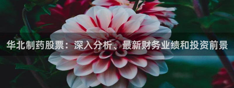 九游老哥俱乐部官网登录入口：华北制药股票：深入分析、最新财务业绩和投资前景