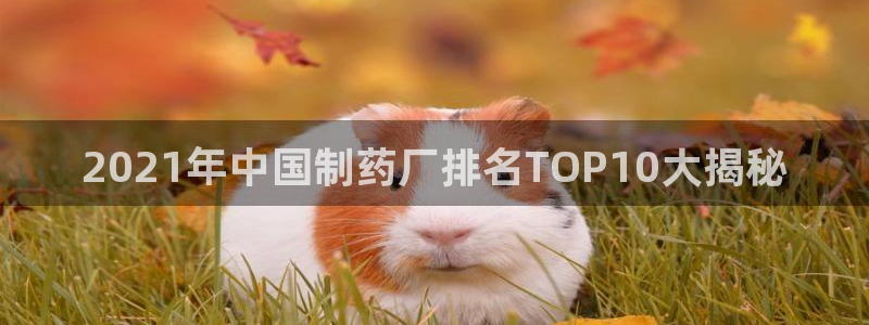 老哥俱乐部是干什么的：2021年中国制药厂排名TOP10大揭秘