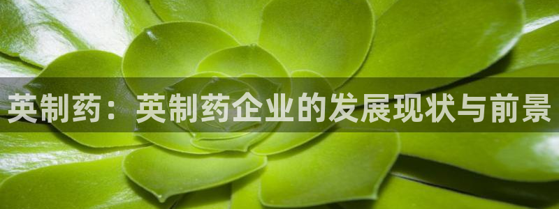 ag九游会老哥俱乐部：英制药：英制药企业的发展现状与前景