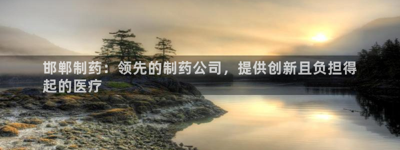 ag九游会老哥：邯郸制药：领先的制药公司，提供创新且负担得
起的医疗