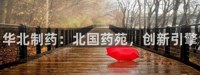 九游会老哥俱乐部：华北制药：北国药苑，创新引擎