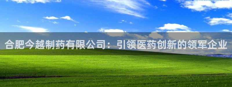 老哥俱乐部是干什么的：合肥今越制药有限公司：引领医药创新的领军企业