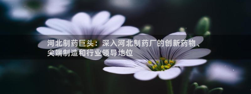 九游会老哥俱乐部官方网站：河北制药巨头：深入河北制药厂的创新药物、
尖端制造和行业领导地位