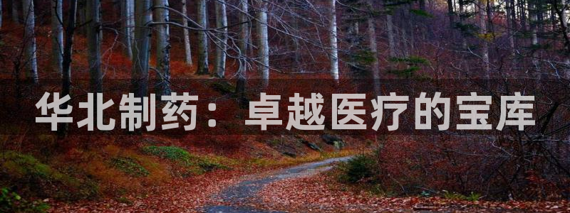 j9九游会老哥俱乐部交流区：华北制药：卓越医疗的宝库