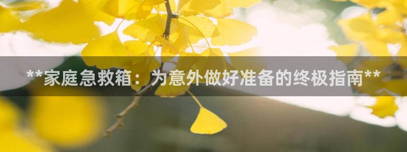ag九游会老哥：**家庭急救箱：为意外做好准备的终极指南**