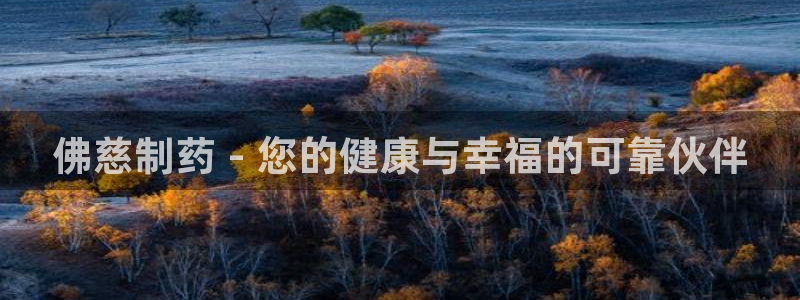 ag九游老哥俱乐部：佛慈制药 - 您的健康与幸福的可靠伙伴