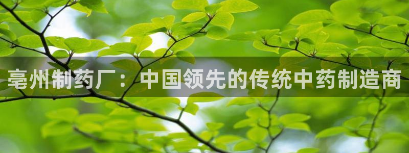 九游会老哥：亳州制药厂：中国领先的传统中药制造商