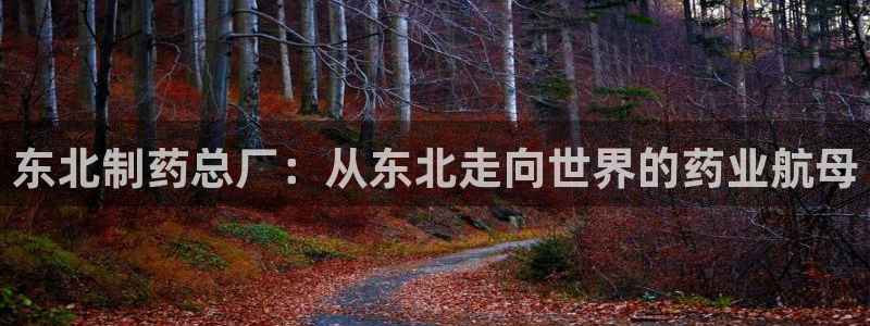 ag九游会老哥俱乐部：东北制药总厂：从东北走向世界的药业航母