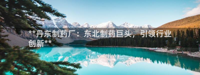 9游会老哥俱乐部：**丹东制药厂：东北制药巨头，引领行业
创新**