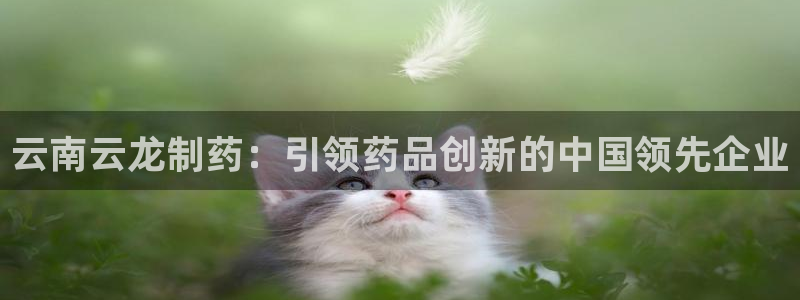 ag九游会老哥：云南云龙制药：引领药品创新的中国领先企业