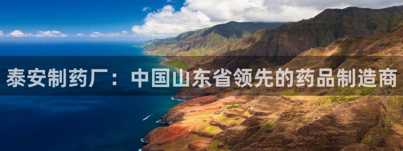 九游会老哥俱乐部官网：泰安制药厂：中国山东省领先的药品制造商