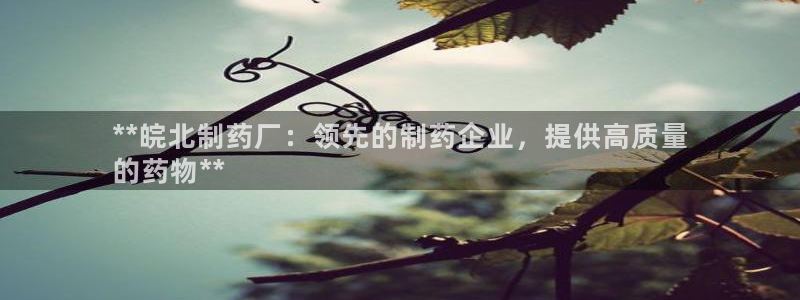 九游会老哥：**皖北制药厂：领先的制药企业，提供高质量
的药物**