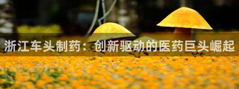 老哥俱乐部是干什么的啊：浙江车头制药：创新驱动的医药巨头崛起